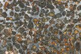 Polished Sericho Pallasite Meteorite ( g) Slice - Kenya #266433-1